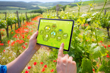 Organically grow the holistic world view